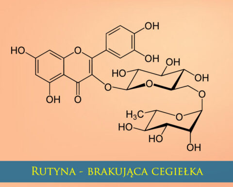 Rutyna