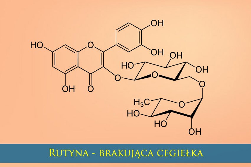 Rutyna