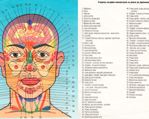 Diagnostyka stref skórnych