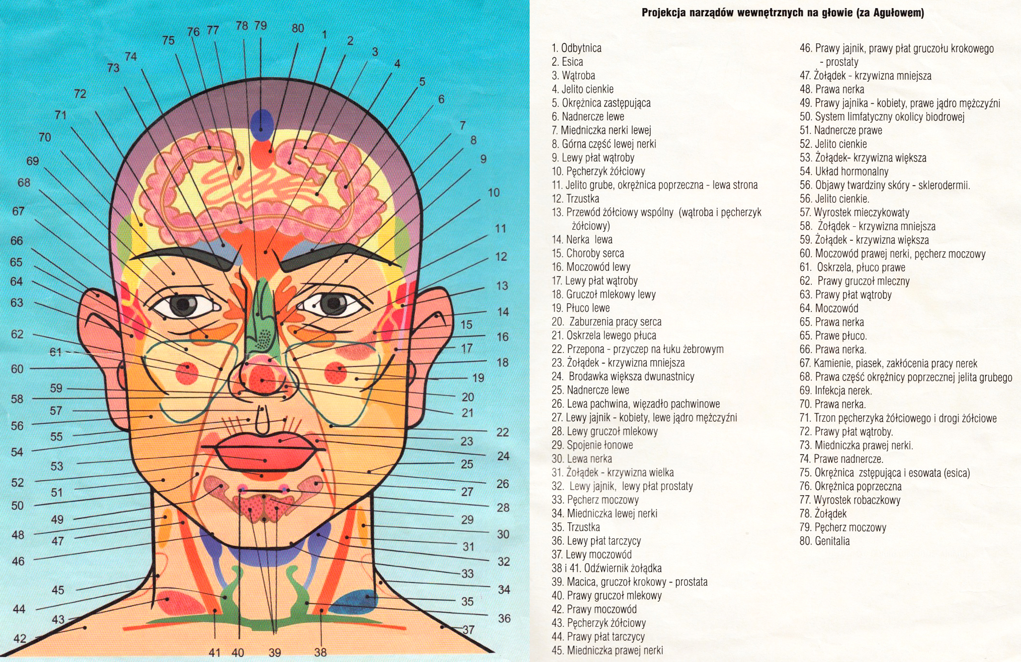 Diagnostyka stref skórnych