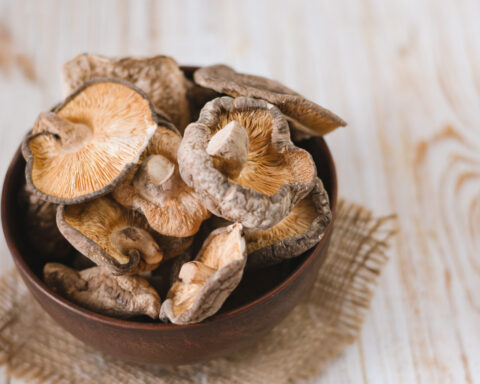 Grzyby Shiitake mogą powodować alergie