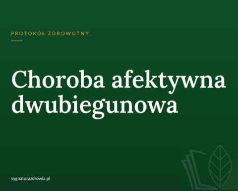 protokol 1137