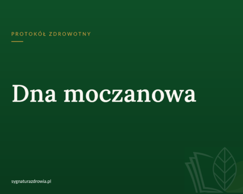protokol 1161