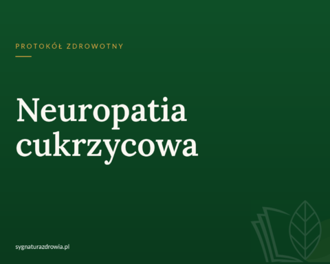 protokol 1205