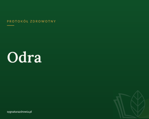 Protokół: Odra