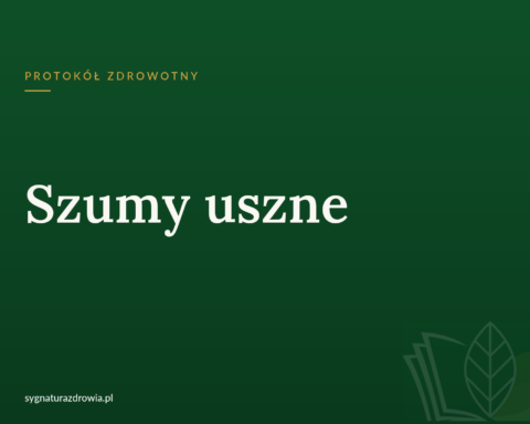 Protokół: Szumy uszne