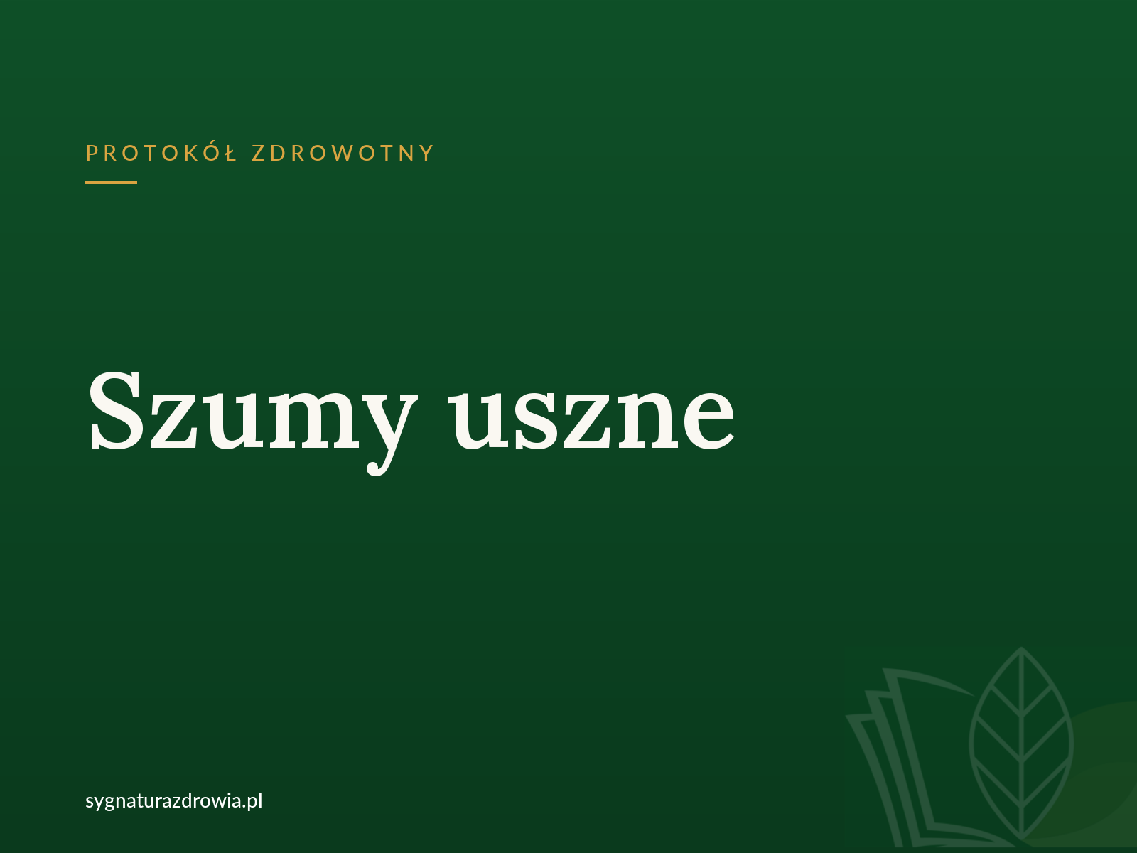 Protokół: Szumy uszne